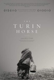 دانلود فیلم The Turin Horse 201110493-1037643847