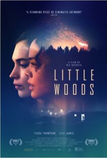 دانلود فیلم Little Woods 201822292-1468377209