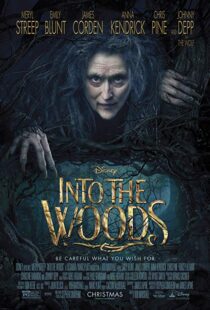دانلود فیلم Into the Woods 20143675-1491667143