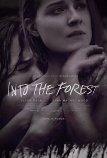 دانلود فیلم Into the Forest 20159776-2093132226