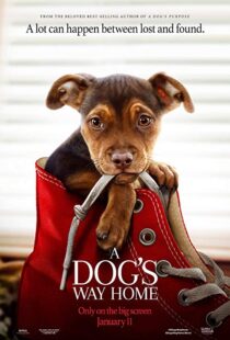 دانلود فیلم A Dog’s Way Home 20198110-1897172052