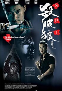 دانلود فیلم Kill Zone 20056996-1919986327