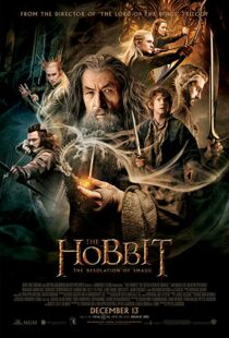 دانلود فیلم The Hobbit: The Desolation of Smaug 2013196262-1501209359