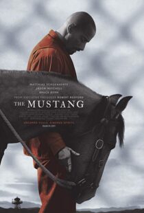 دانلود فیلم The Mustang 201910122-1158052946
