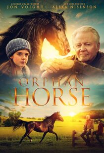دانلود فیلم Orphan Horse 20188125-727840688