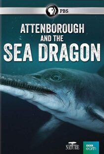 دانلود مستند Attenborough and the Sea Dragon 20188753-384391985