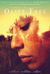 دانلود فیلم The Olive Tree 201615934-897402100
