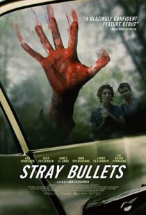 دانلود فیلم Stray Bullets 20169530-1202456112