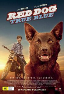 دانلود فیلم Red Dog: True Blue 20168899-736182263