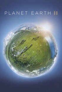 دانلود مستند Planet Earth II58204-436038652
