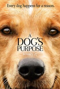 دانلود فیلم A Dog’s Purpose 201741616-422636499
