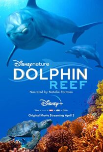 دانلود مستند Dolphin Reef 201838724-146562397