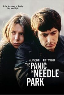 دانلود فیلم The Panic in Needle Park 197150558-599733397