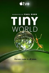 دانلود مستند Tiny World52124-103301516