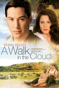 دانلود فیلم A Walk in the Clouds 199553815-1473078213