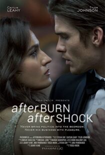 دانلود فیلم Afterburn/Aftershock 201777302-131510474