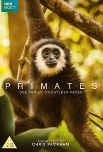 دانلود مستند Primates77865-1979528079