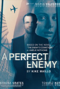 دانلود فیلم A Perfect Enemy 202082295-678677894