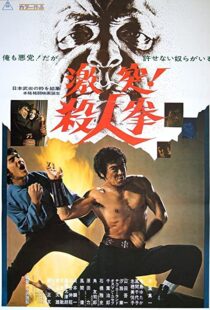 دانلود فیلم The Street Fighter 197483791-129654415