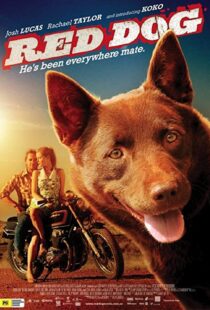 دانلود فیلم Red Dog 201187414-1343139108