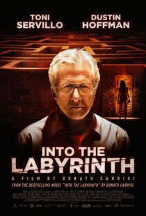 دانلود فیلم Into the Labyrinth 201991141-1223835817
