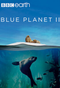 دانلود مستند Blue Planet II100194-772363429