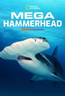 دانلود مستند Mega Hammerhead 2016103122-1627430621