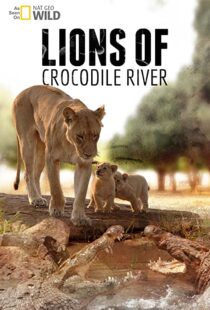 دانلود مستند Lions of Crocodile River 2007103328-2129978245