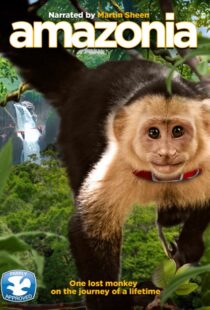 دانلود فیلم Amazon 2013101135-834334669