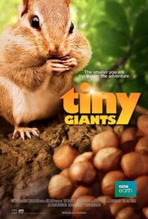 دانلود مستند Tiny Giants 3D 2014109664-184888404