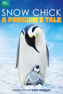 دانلود مستند Snow Chick: A Penguin’s Tale 2015109604-283332563