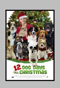 دانلود فیلم 12 Dog Days Till Christmas 2014100712-771290458