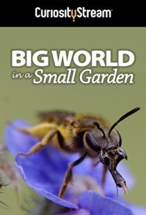 دانلود مستند Big World in a Small Garden 2016102965-17034329