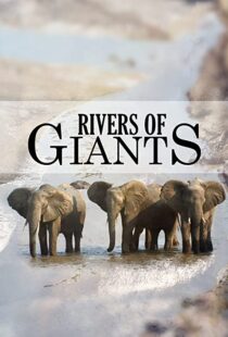 دانلود مستند Rivers of Giants 2005102245-624831597