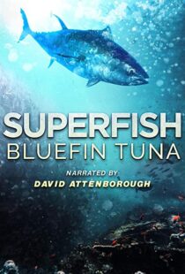 دانلود مستند Superfish Bluefin Tuna 2012101607-910818609