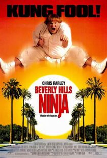 دانلود فیلم Beverly Hills Ninja 1997111541-1045260678