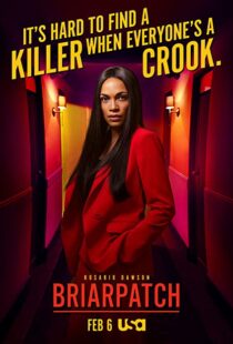 دانلود سریال Briarpatch112905-39086483
