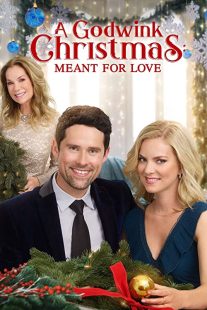 دانلود فیلم A Godwink Christmas: Meant for Love 201931842-264157367