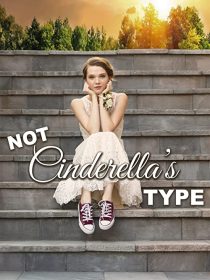 دانلود فیلم Not Cinderella’s Type 2018254350-1062732380