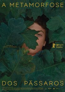 دانلود مستند The Metamorphosis of Birds 2020253094-1017973426