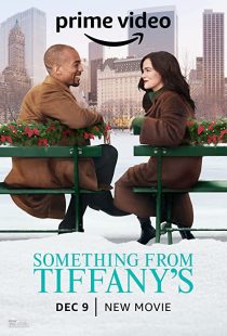 دانلود فیلم Something from Tiffany’s 2022305903-575041681
