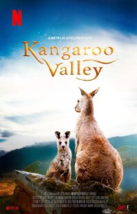 دانلود فیلم Kangaroo Valley 2022322977-1220405616