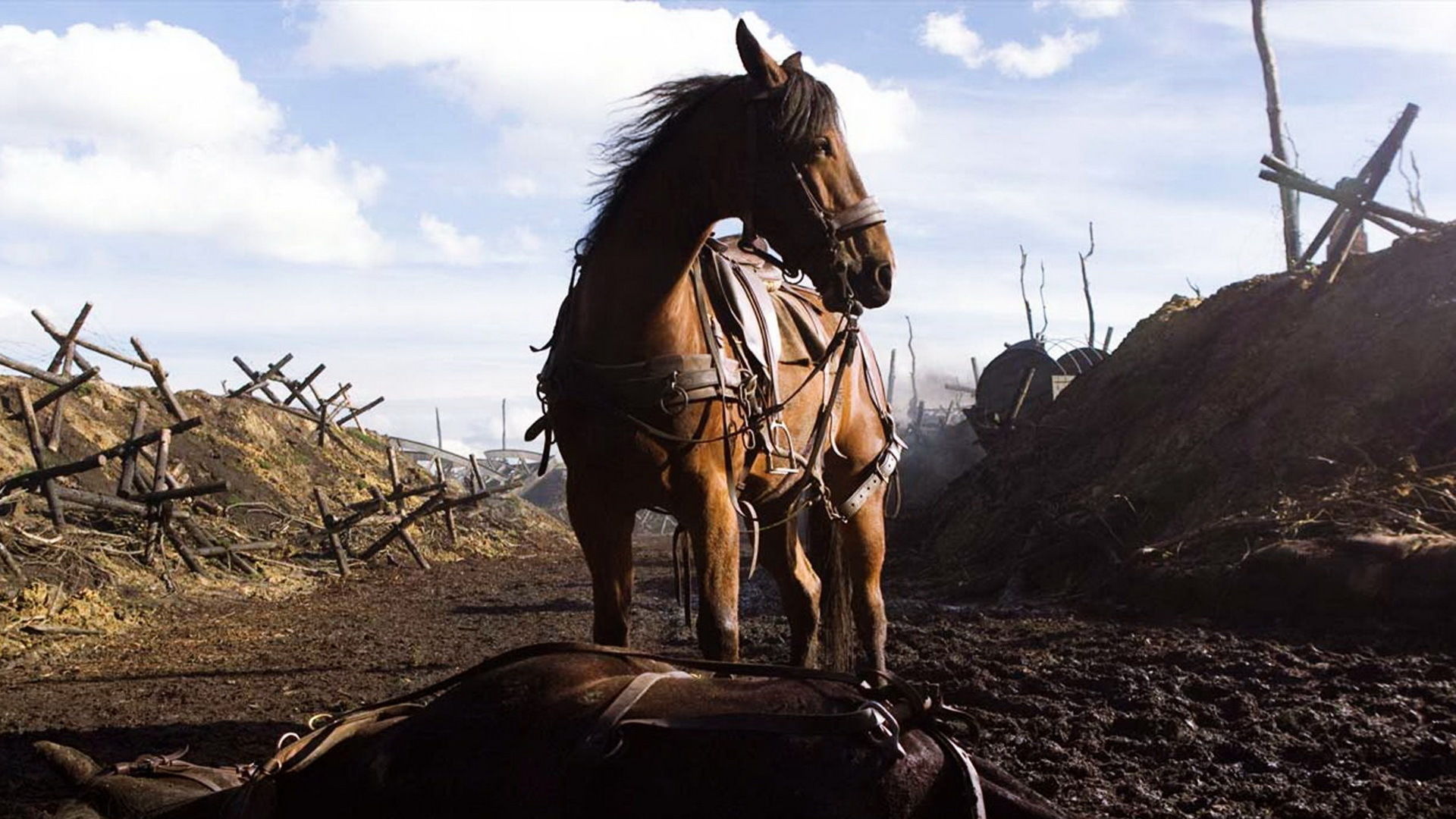 دانلود فیلم War Horse 2011