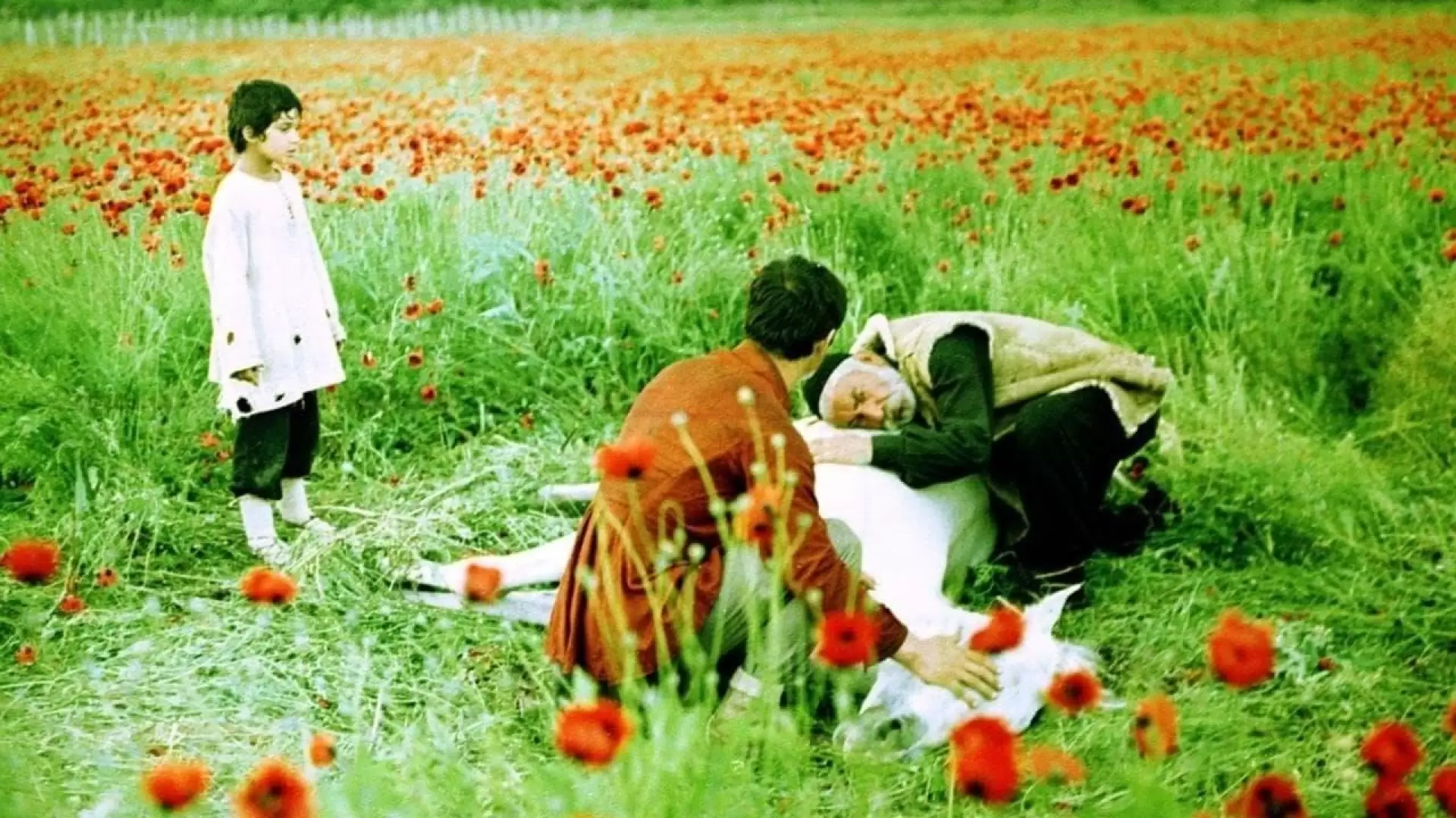 دانلود فیلم The Wishing Tree 1976