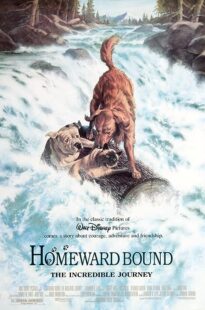 دانلود فیلم Homeward Bound: The Incredible Journey 1993371118-314276113
