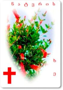 دانلود فیلم The Wishing Tree 1976371181-1566314208