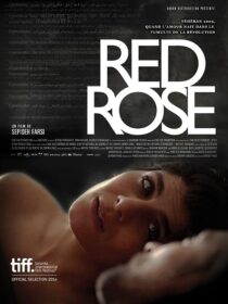 دانلود فیلم Red Rose 2014373098-693751894
