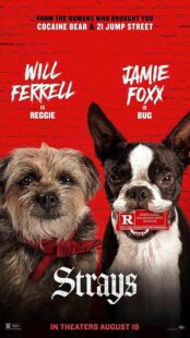 دانلود فیلم Strays 2023374413-1093588956