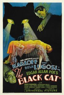 دانلود فیلم The Black Cat 1934378235-922441556