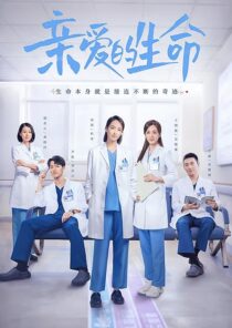 دانلود سریال Beloved Life384131-1668699088